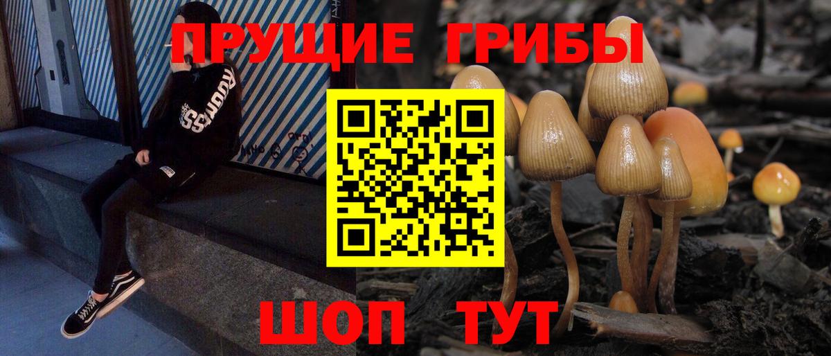 Псилоцибиновые грибы мицелий  Псилоцибиновые грибы мицелий  Вход с VPN  наркотики  Дальнереченск 